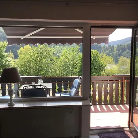 Right On Hillebach With A Balcony Winterberg