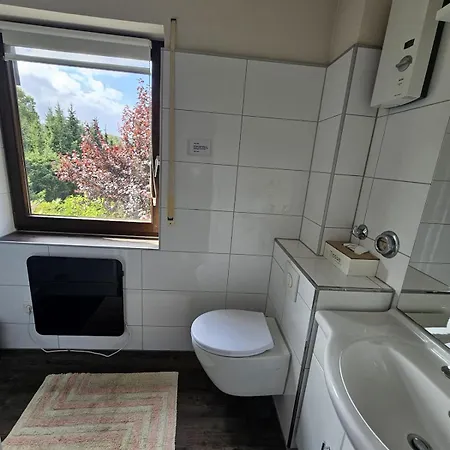 Right On Hillebach With A Balcony Winterberg