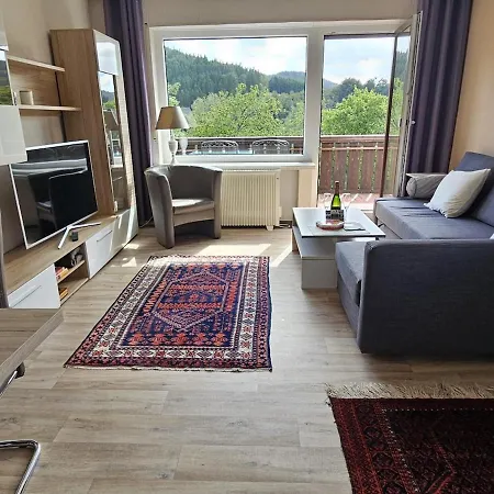 Right On Hillebach With A Balcony Winterberg